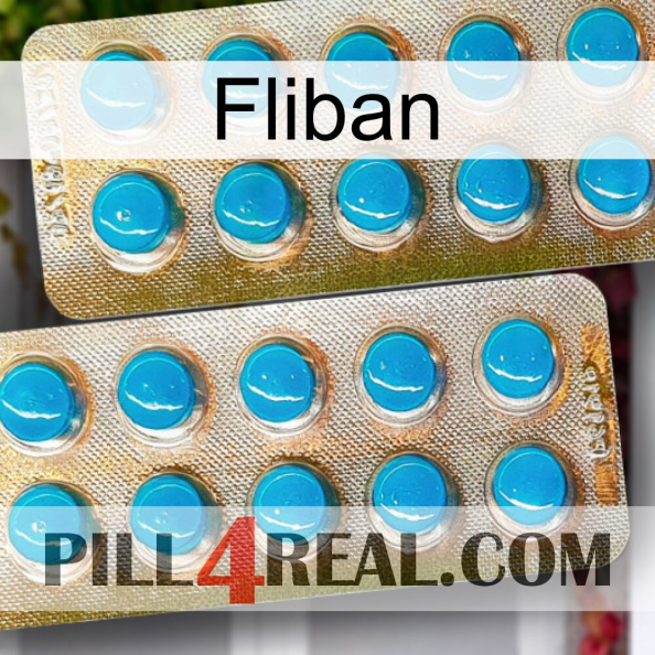 Fliban new08.jpg